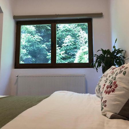 Forest Apartments By Olala Homes Sinaia Bagian luar foto