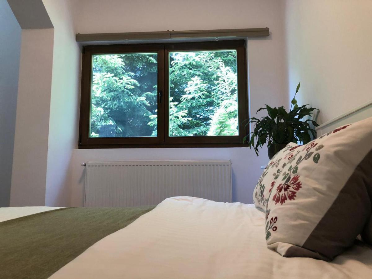 Forest Apartments By Olala Homes Sinaia Bagian luar foto