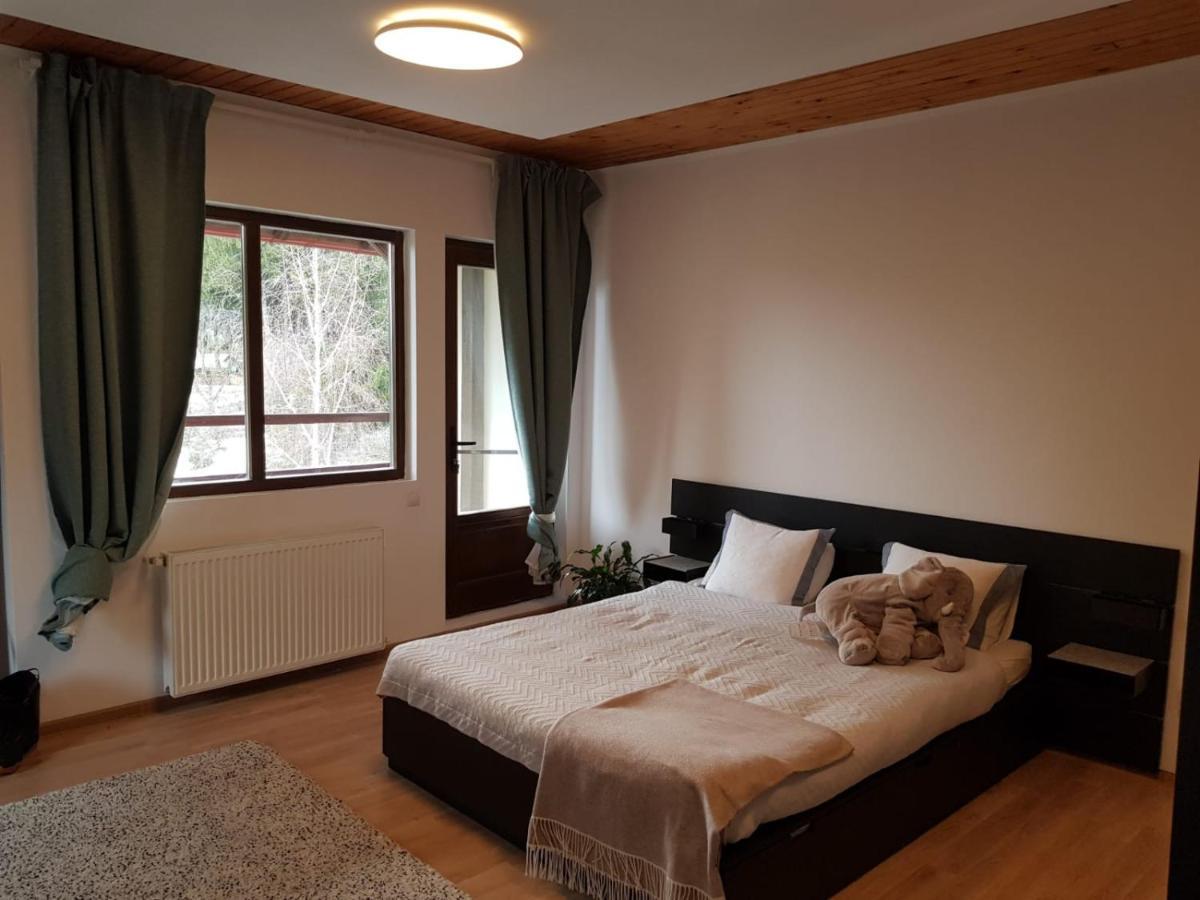 Forest Apartments By Olala Homes Sinaia Bagian luar foto